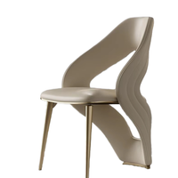 Chaise de salle à manger de café d'intérieur pour restaurants et café Mobilier français Chaise de salle à manger de luxe en métal à structure en fer au design nordique