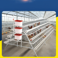 Cage à poulets de type A en acier galvanisé pour élevage de poules pondeuses - Meilleures ventes