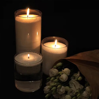Cire de sable perlée colorée personnalisée en gros à bas prix, non parfumée, cire de sable naturelle de palme, cire de sable fine pour la fabrication de bougies en poudre