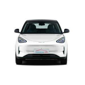 GEELY stella 2025 augura nuova <span class=keywords><strong>auto</strong></span> elettrica 310km edizione della gioventù prezzo a buon mercato - Product Image 3
