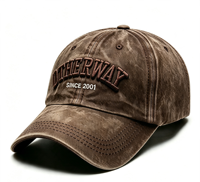 Gorra de Béisbol Personalizada al por Mayor con Logotipo, de Algodón Lavado, 6 Paneles, Diseño de Bordado 3D, Cierre a Presión, Unisex, Estilo Urbano, Deportivo, para Fiestas
