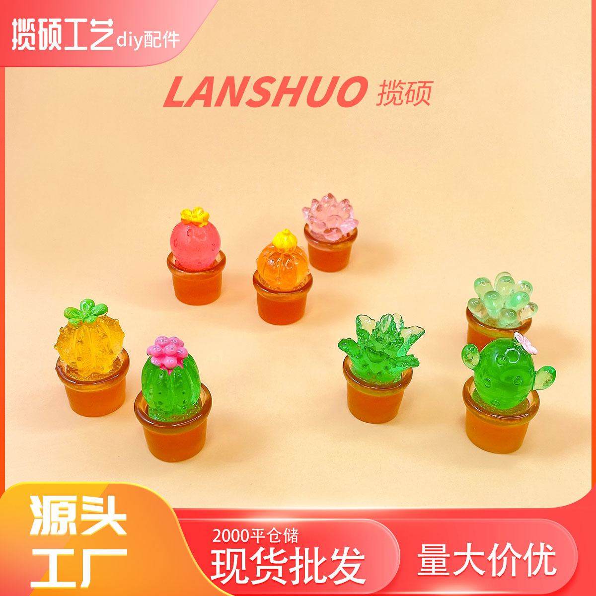 Plantes en pot translucides, mélangées au hasard, C-429