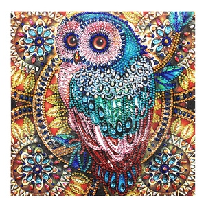 Peinture Diamant Animaux Hibou Cartoon 5D Forme Spéciale Cristal Diamant DIY 30x30 - Product Image 1