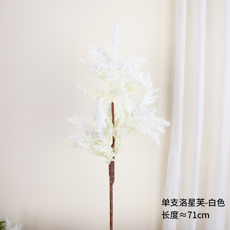 Rosenne individual (blanco)