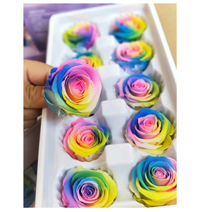 Y rosa oem promocional madre preserv rosa de alta calidad arco iris y cabezas rosa - Product Image 1
