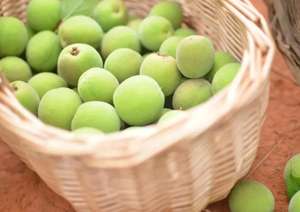 Kaliteli Fructus Mume özü/kurutulmuş erik meyve tozu - Product Image 4