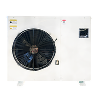 Unité de condensation à refroidissement par air à soufflage latéral Dashang 3HP 4HP pour armoires frigorifiques, petits supermarchés et chambres froides