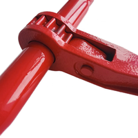 Pabrik 3/8-1/2 beban kerja 9200LBS truk memukul standar Ratchet jenis beban Binder