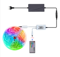 Bande lumineuse LED COB intelligente RGB pour la décoration de la maison, 576 LED, 12V/24V, WiFi/télécommande, dimmable, indice de protection IP67, USB