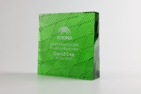 Trophée en cristal personnalisé K9, fait main, écologique, couleur verte, plaque vierge, coffret cadeau pour la décoration intérieure et les concours