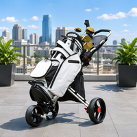 Chariot de golf pliable en aluminium léger et durable de qualité supérieure avec 3 roues, capacité de charge de 25 kg pour un transport facile des sacs de golf sur le parcours