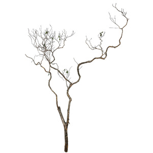 Moderno personalizzabile grande cavallo ubriaco rami secchi decorazione in legno giallo cipresso vero tronco albero morto pavimento paesaggio digitale - Product Image 5