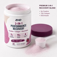 Poudre de récupération performante 3-en-1 |   Créatine 5g, Collagène en peptides 10g, Électrolytes |   Mélange Premium Saveur Baies |   30 portions