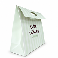 Sac en papier vert clair rayé avec poignée découpée, en carton blanc, pour vêtements, vente au détail, échantillons de beauté, emballage cadeau, directement de l'usine