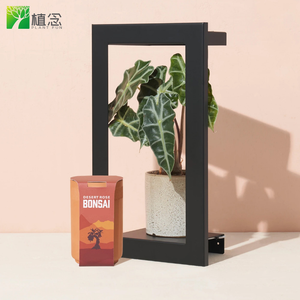 Kit de jardin d'intérieur de luxe de style campagnard, pots carrés en terre cuite pour cactus et <span class=keywords><strong>bonsaï</strong></span>, supports suspendus, décoration pour la maison, salle de plantation - Product Image 4