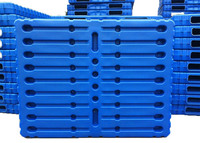 Máquina de Moldeo por Soplado Automática de 2 Capas, Económica, de 1.2*1m, para Palés de Plástico HDPE