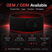 Ceinture de thérapie par lumière rouge pour chiens et chats, usage domestique, soulagement de la douleur, 660nm 850nm, physiothérapie infrarouge, alimentation par prise secteur/USB