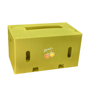 Contenedor de Plástico PP para Transporte de Frutas, Impermeable, Hueco, Plegable, Apilable, para Almacenamiento de Verduras - Product Image 2