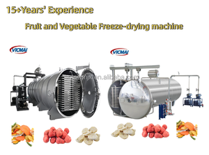 Máquina de Secado por Congelación <span class=keywords><strong>al</strong></span> Vacío de Frutas de Acero Inoxidable 304 de Alta Capacidad y Bajo Consumo Energético OEM para Limón y Café - Product Image 4