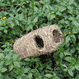 Tunnel en herbe tressé fait main pour hamster et chinchilla, résistant aux morsures, fournitures pour animaux de compagnie, taille moyenne - Product Image 3