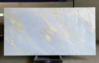 Panneau mural en marbre naturel Simpson Veins Silver Dragon pour décoration intérieure