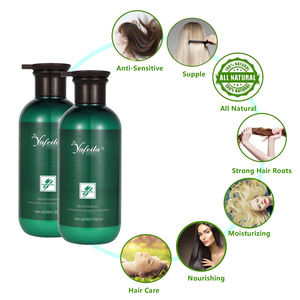 Afro OEM logotipo personalizado <span class=keywords><strong>Champoo</strong></span> al por mayor Etiqueta Privada producto libre de sulfato orgánico cuidado del cabello aceite de argán champú - Product Image 2