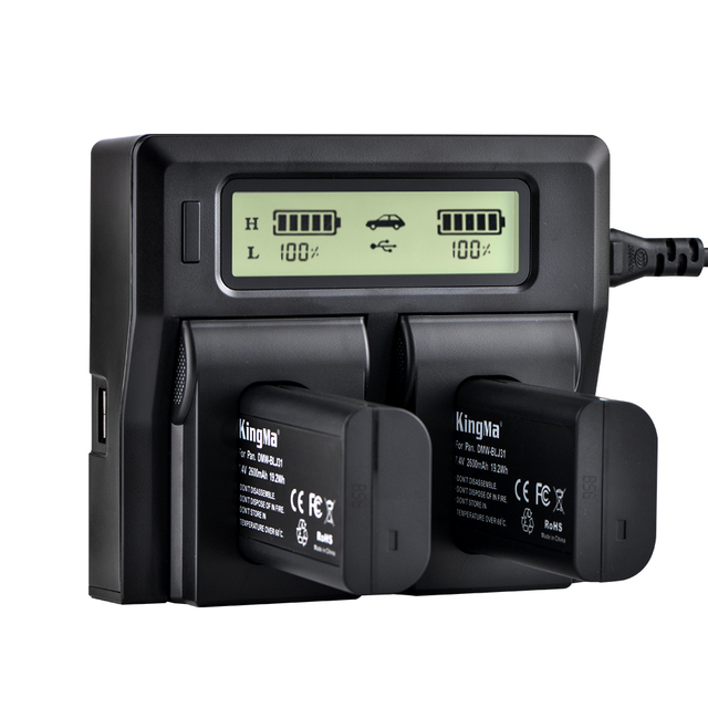 KingMa-DC-LCD-BLJ31 2600mAh Replacement Battery (2 Pack) and Dual Channel LCD Battery Charger Kit for Pana. Dc-s1 S1r Dc-s1h