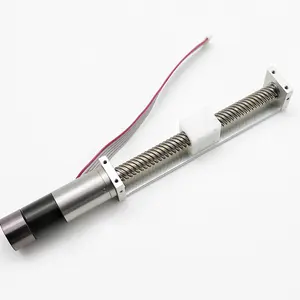 Minyatür düşük maliyetli çekirdeksiz % Dc Motor sürekli vidalı lineer aktüatör