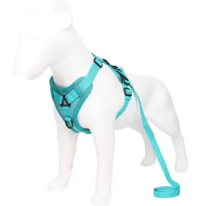 宠物狗用品狗胸背包新款设计透气网布皮带和背带套装