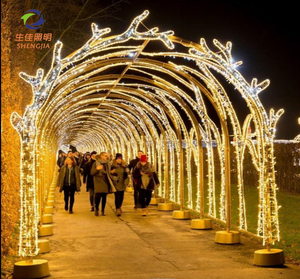 防水户外霓虹灯发光二极管主题灯户外圣诞装饰天井串灯户外派对花园婚礼 - Product Image 6