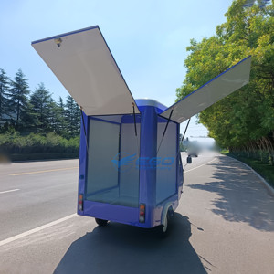 Camion de restauration mobile électrique à 3 roues en acier inoxydable EGO avec certification CE, couleur personnalisable, à vendre à Xuchang - Product Image 6