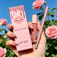 Ensemble Rouge à Lèvres et Crayon à Lèvres Crème, Crayons à Lèvres Longue Tenue Marque Privée, Kit Rouge à Lèvres Liquide Personnalisé, Vente en Gros, Ensemble Rouge à Lèvres Mat
