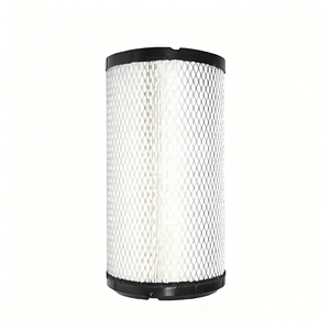 Nieuw Papier Actieve Kool Luchtfilter 715900394 3774831m1 Voor Massey Ferguson Tractor - Product Image 1