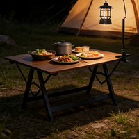 Table pliable en alliage d'aluminium pour le camping, au design moderne, pour une utilisation en extérieur et au parc