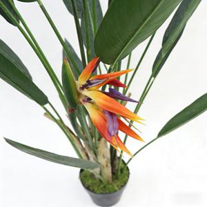Árbol Bonsái de Ave del Paraíso, Corteza de Plátano <span class=keywords><strong>Natural</strong></span> Seca, Hierba Peluda, Planta Artificial Realista y Ecológica para Interiores - Product Image 2