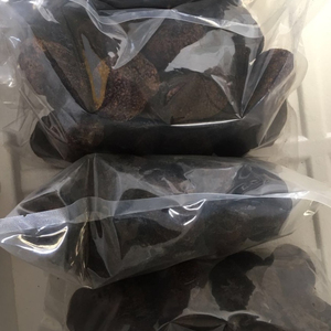 Detan, venta al por mayor, trufa negra fresca, hongo salvaje <span class=keywords><strong>melanosporum</strong></span> con alta calidad - Product Image 3
