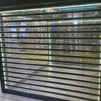 Porte enroulable transparente en polycarbonate, plaque PC, volet intérieur/extérieur, porte commerciale pour magasin, garage, devanture de commerce