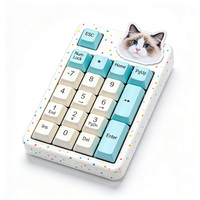 Keypad Numerik Mini Portabel Warna Pastel, Numpad Mekanik Ringkas, Nirkabel BT USB-C, Tombol Kustom, Ringan, Untuk Penggunaan Desktop
