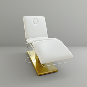 Tempat tidur Spa elektrik, furnitur <span class=keywords><strong>Salon</strong></span> kecantikan bersertifikat Motor Medis sunyi kapasitas 250kg tahan lama - Product Image 5