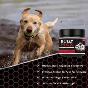 Masticables suaves con ganancia <span class=keywords><strong>de</strong></span> músculo al por mayor, suplementos para la salud <span class=keywords><strong>de</strong></span> <span class=keywords><strong>mascotas</strong></span>, proteína para perros, mordeduras para masticar perros Bully <span class=keywords><strong>de</strong></span> máximo rendimiento, masticables para construcción <span class=keywords><strong>de</strong></span> perros - Product Image 4