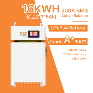 <span class=keywords><strong>Pl</strong></span> Eu Stock Braun Power 51.2V 314ah 16kwh Lifepo4 Mobile Lifepo4 Accu Ess 2a Active Balancer Voor Thuis Energieopslag - Product Image 1