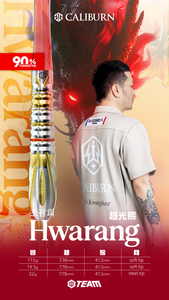 Wdf <span class=keywords><strong>2025</strong></span> caliburn Máy nghe nhạc Hàn Quốc hợp tác Hwarang loạt 17.5g 19.5g 22g thép lời khuyên mềm thiết lập 90% phi tiêu vonfram - Product Image 4