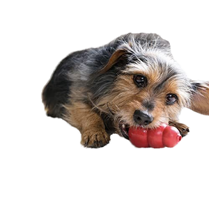 Vendita calda giocattolo interattivo in gomma naturale per cani di sicurezza e cigolio resistente per animali domestici Dispenser cibo molare-Friendly mangiatoia ossa giocattolo da masticare - Product Image 5