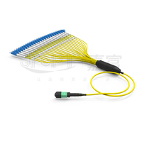 Cordon de brassage fibre optique MTP MPO 24 fibres, MTP vers MTP, MTP vers LC, G657, Monomode OM3, Multimode