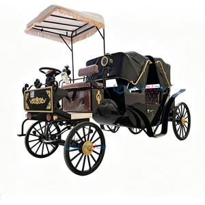 Carruaje Turístico, Carruaje Real Victoria, Transporte Especial, Venta Directa de Proveedor Chino, Carruaje a Bajo Precio - Product Image 1