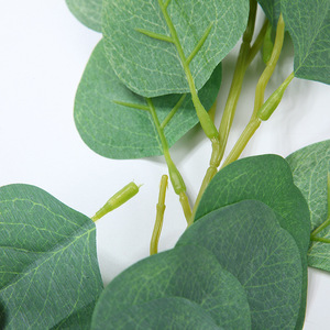 Guirlandes artificielles d'eucalyptus Tainen 1M 2M, fleurs en soie pour décoration de mariage, décoration intérieure, accessoires de photographie - Product Image 4