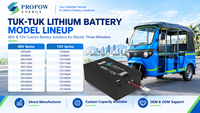 Batterie LiFePO4 60V 72V 60Ah 100Ah 150Ah 200Ah à longue durée de vie, étanche, pour tuk-tuk et rickshaw électrique