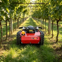 Penjualan Langsung Pabrik Mesin Pemotong Rumput Mini Robot Bertenaga Bensin dengan Penggerak Sendiri dan Remote Control untuk Kebun
