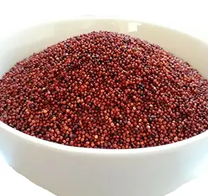 Premium Grade Of Wholesale Nutritious Ragi Finger Millet Red Millet for Bulk Export Products From Indian Exporter