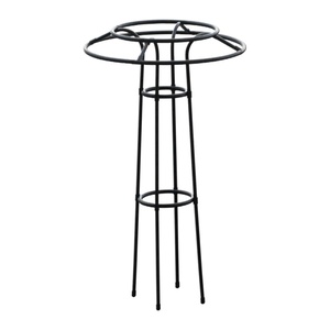 Traliccio Da Giardino Metallo 170cm | Obelisco Per Piante Rampicanti | Supporto Per Rose, Clematidi E Cetrioli | Nero - 2